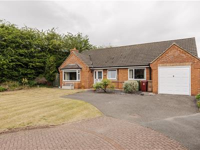 Picture 20